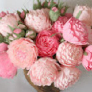 Meet your Posher, Katherine